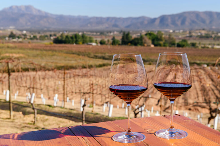 24 Hour Itinerary: A Romantic Getaway In Valle De Guadalupe