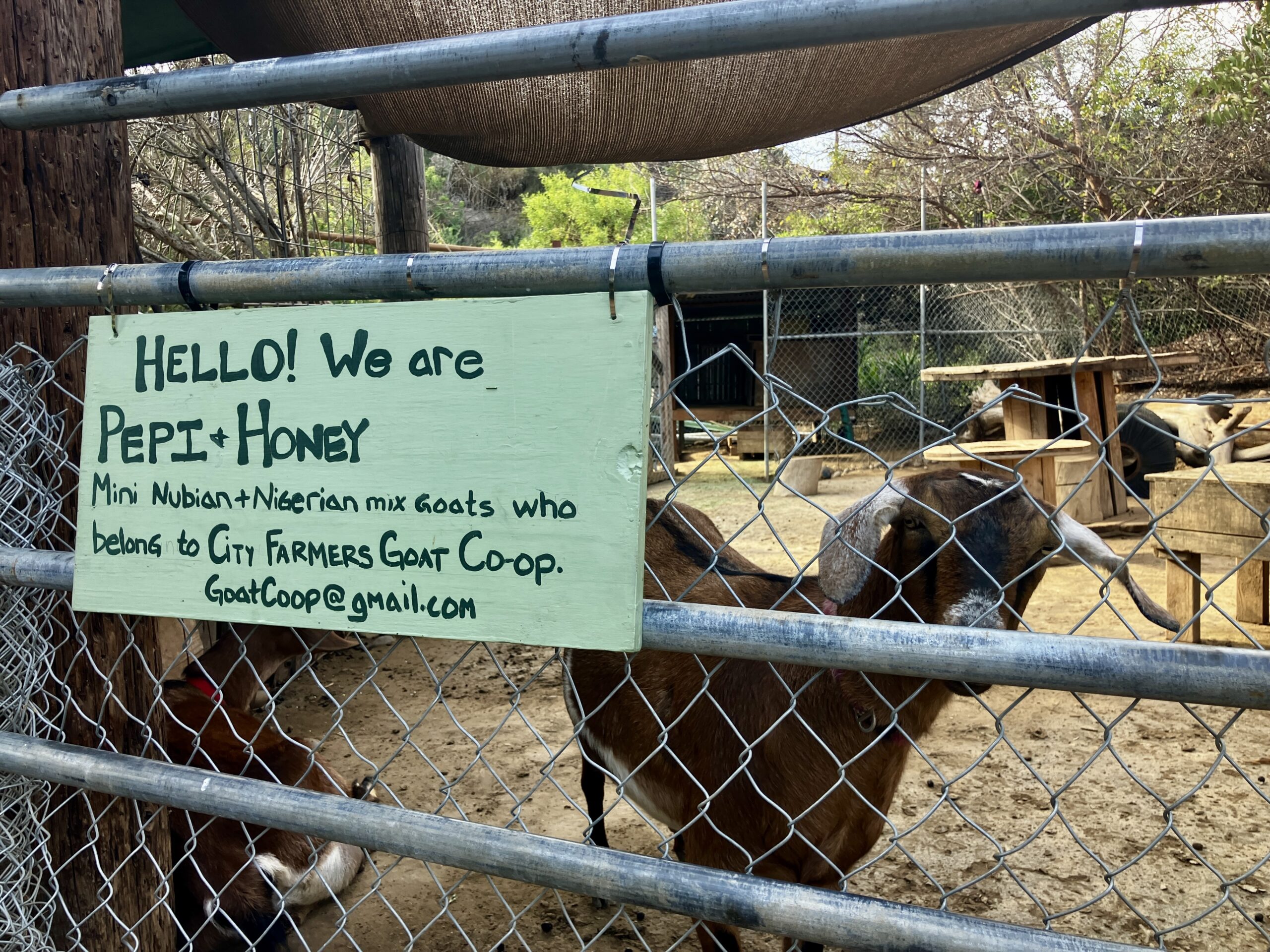 City Farmers Nursery