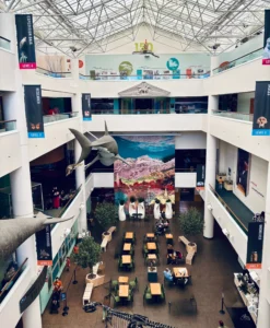 natural history museum