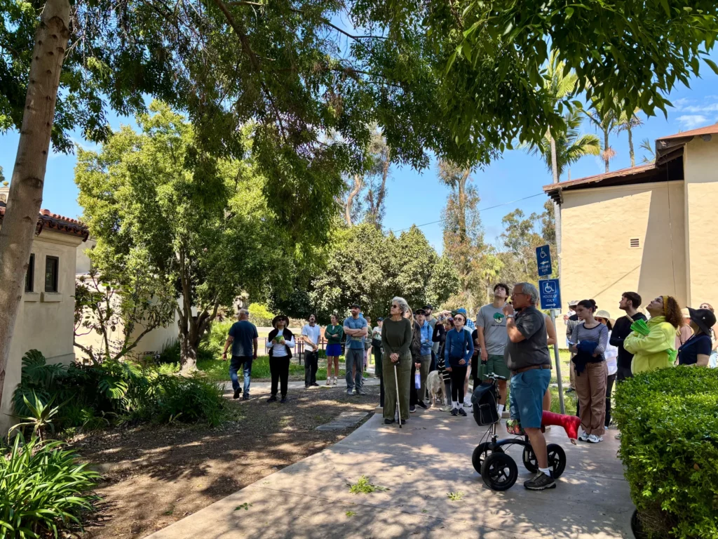 tree treks tree san diego