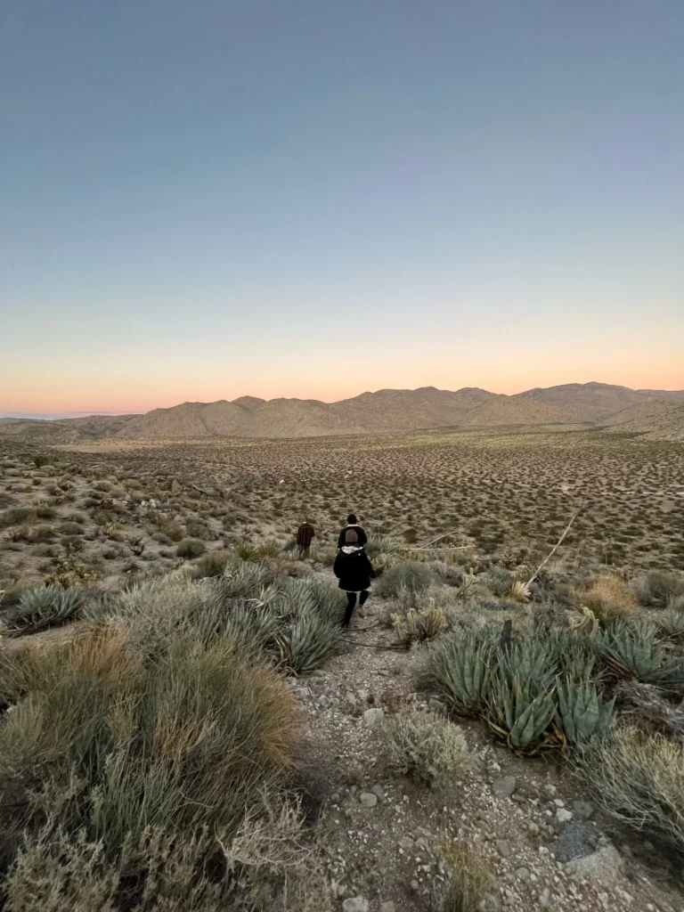 Blair Valley And The Pictographs Trail