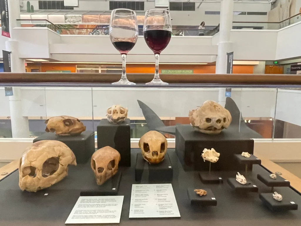 san diego natural history museum