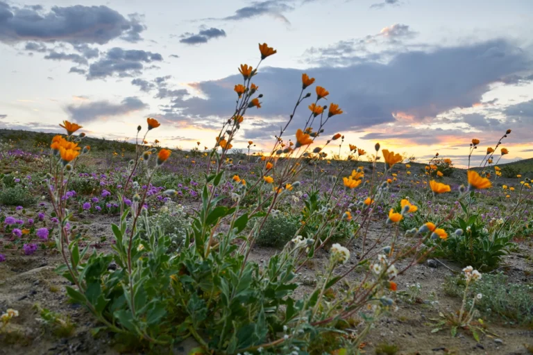 Weekend Itinerary: Getting Outdoors In San Diego