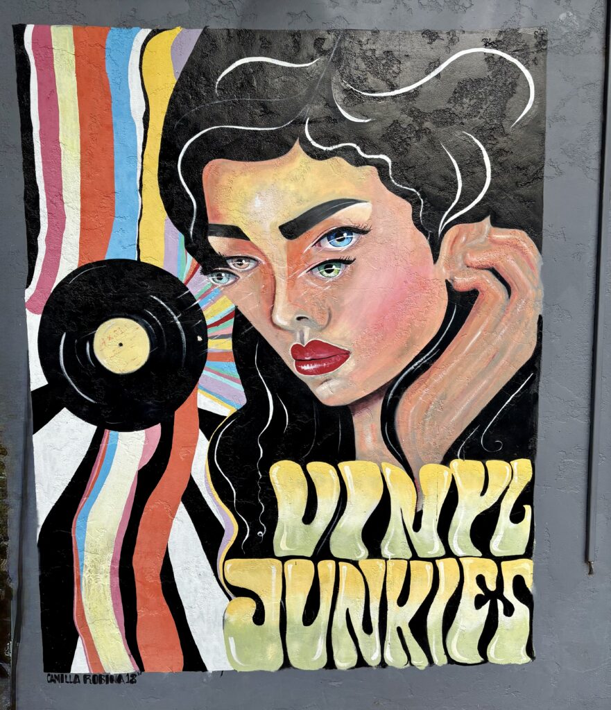 Vinyl Junkies South Park