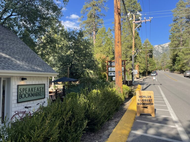 Speakeasy Bookmarket