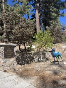 Grand Idyllwild Lodge