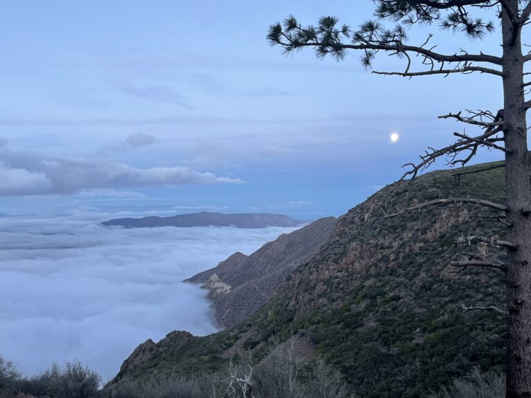 The Best Hikes In San Diego