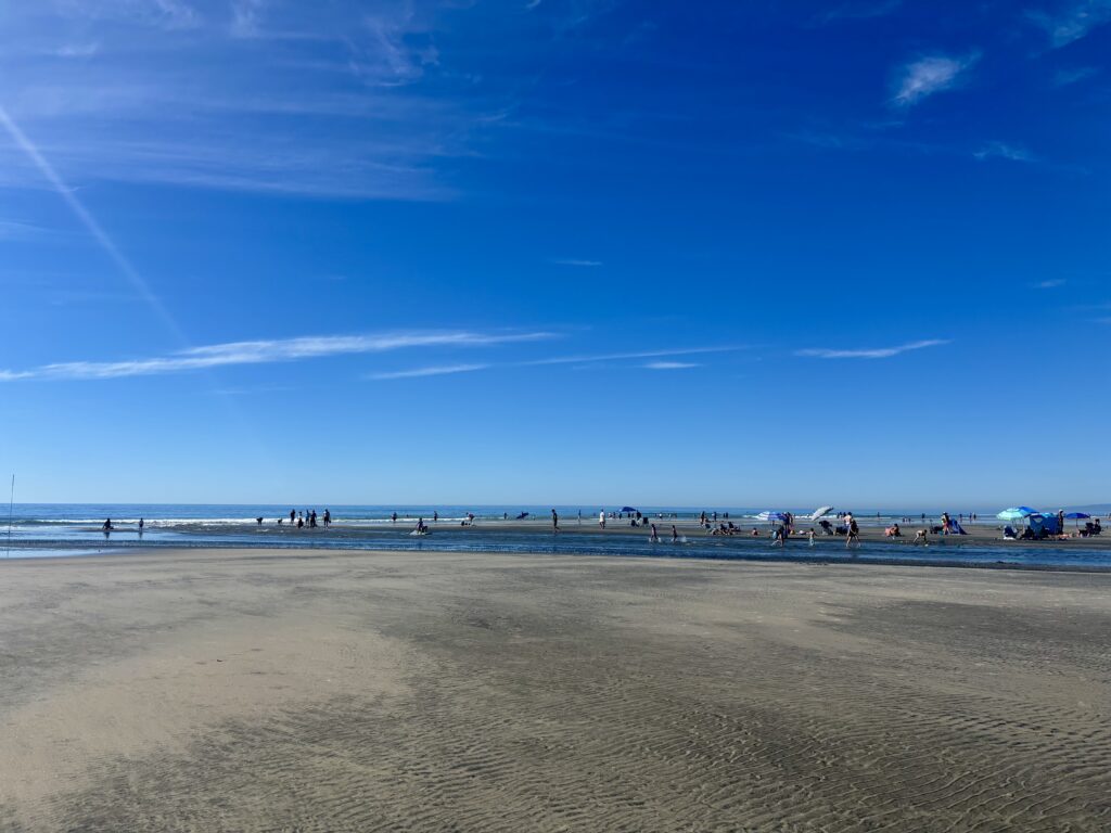 torrey pines state beach